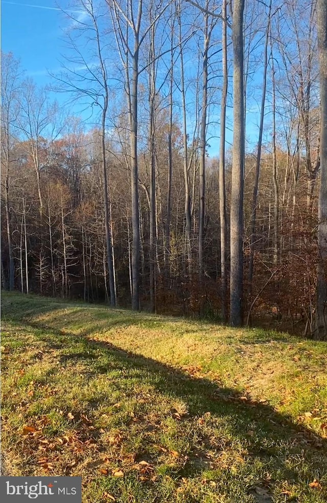 view of yard featuring a forest view