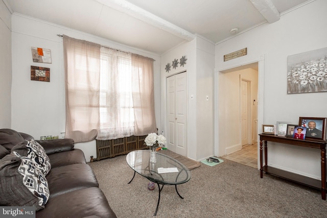 carpeted living room featuring beamed ceiling, radiator heating unit, and ornamental molding