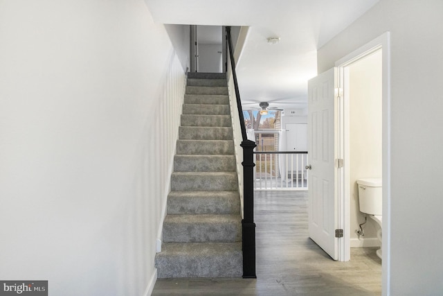 stairs featuring hardwood / wood-style flooring and ceiling fan