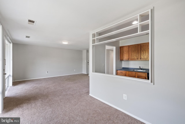 interior space featuring carpet and sink