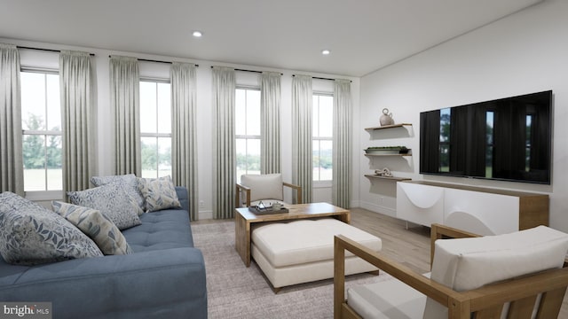 living room featuring light hardwood / wood-style floors