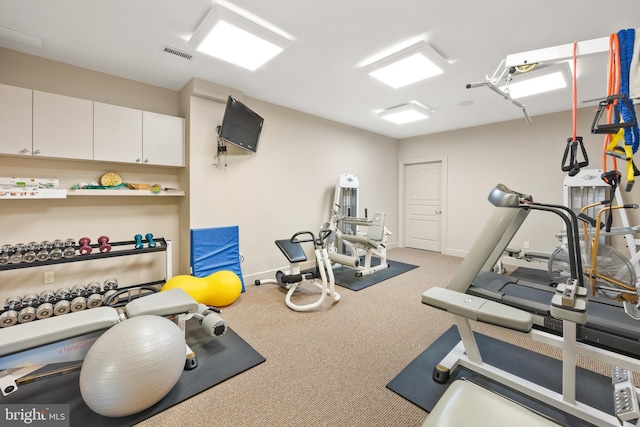 gym featuring carpet floors