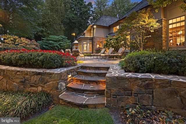 view of yard featuring a patio