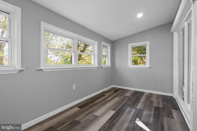 interior space with dark hardwood / wood-style flooring and vaulted ceiling