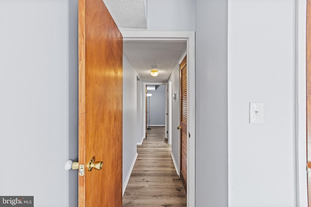 hall featuring light hardwood / wood-style floors