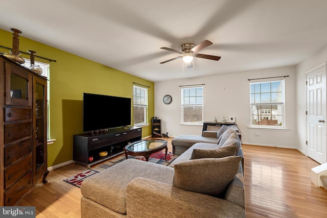 living room featuring ceiling fan and light hardwood / wood-style flooring