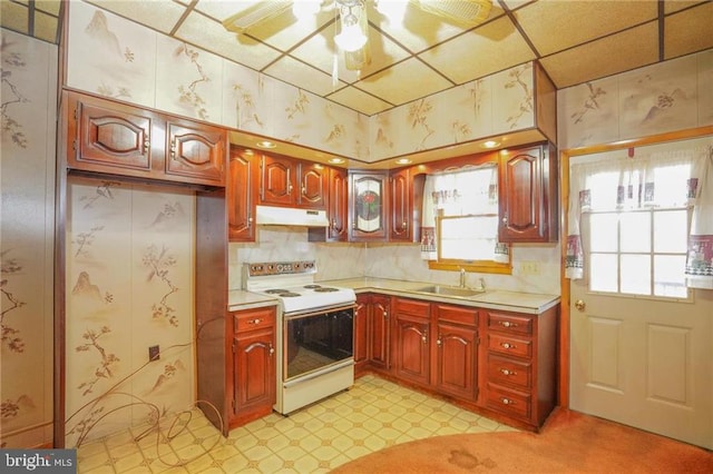 kitchen featuring white electric stove, ceiling fan, and sink