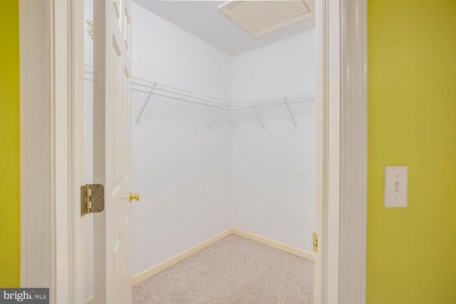 spacious closet with light colored carpet