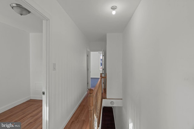 hallway featuring wood-type flooring