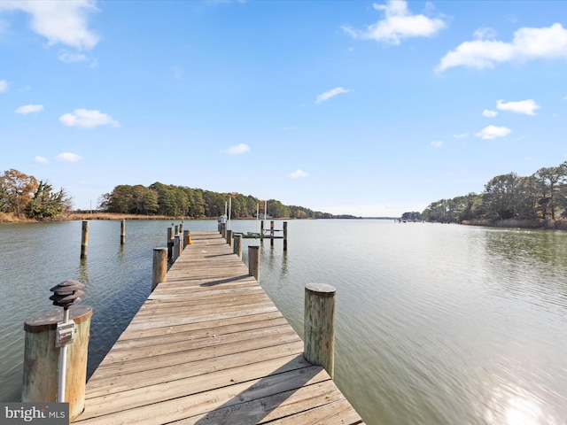 dock area featuring a water view