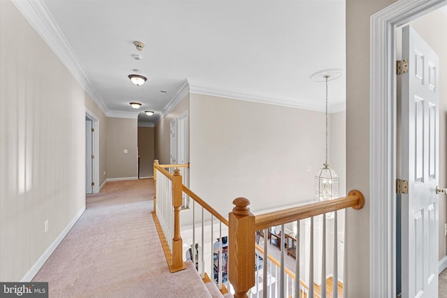 hallway with ornamental molding and light colored carpet