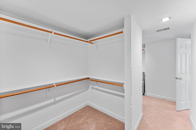 spacious closet with light carpet