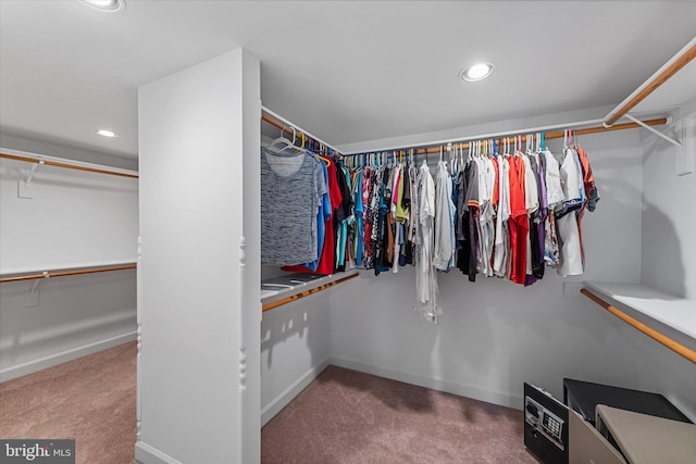 walk in closet with carpet flooring