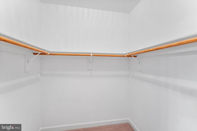 spacious closet with carpet