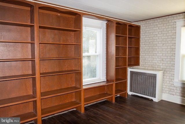 interior space with radiator