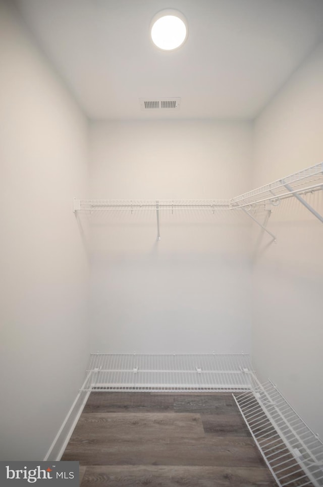 spacious closet featuring dark wood-type flooring