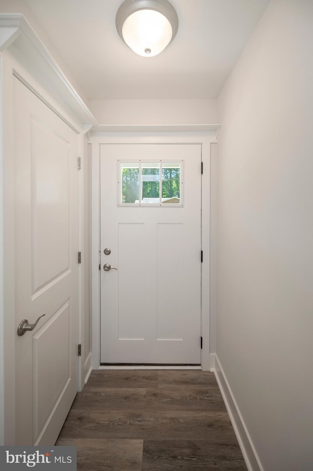 entryway featuring dark hardwood / wood-style flooring