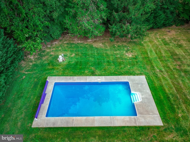 view of swimming pool with a lawn