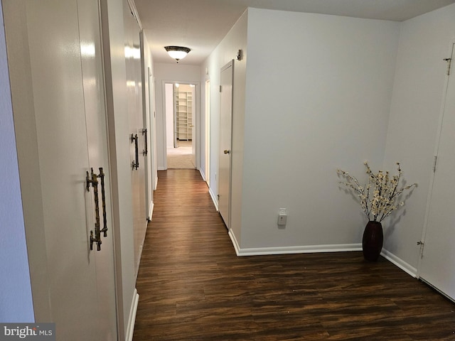 hall with dark hardwood / wood-style flooring