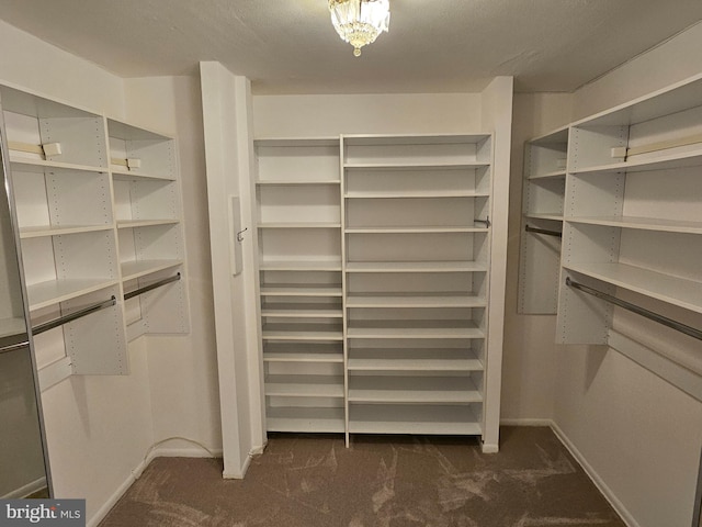 spacious closet with dark carpet