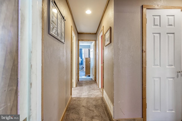 corridor featuring light colored carpet and crown molding