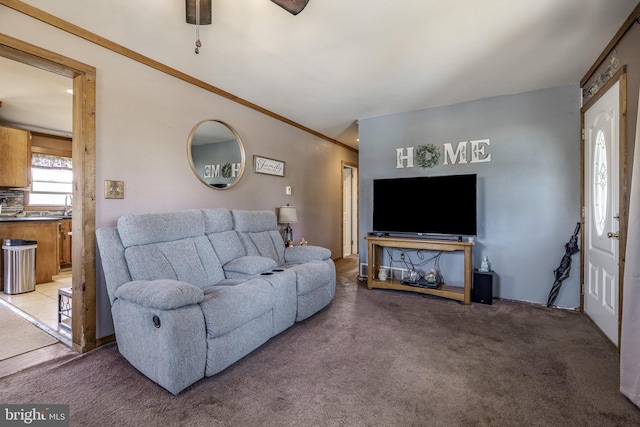 carpeted living room with ceiling fan, sink, and ornamental molding