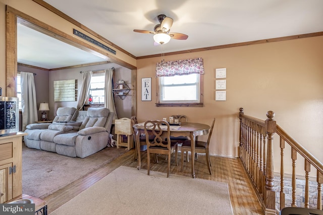 dining space featuring light wood-type flooring, a wealth of natural light, crown molding, and ceiling fan