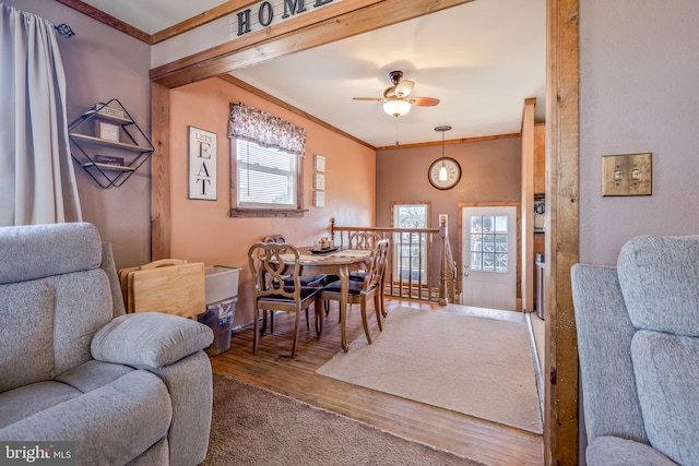 dining room featuring hardwood / wood-style floors, ceiling fan, a healthy amount of sunlight, and ornamental molding