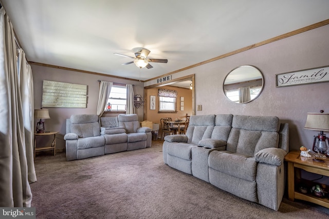 living room featuring carpet flooring, ceiling fan, and ornamental molding