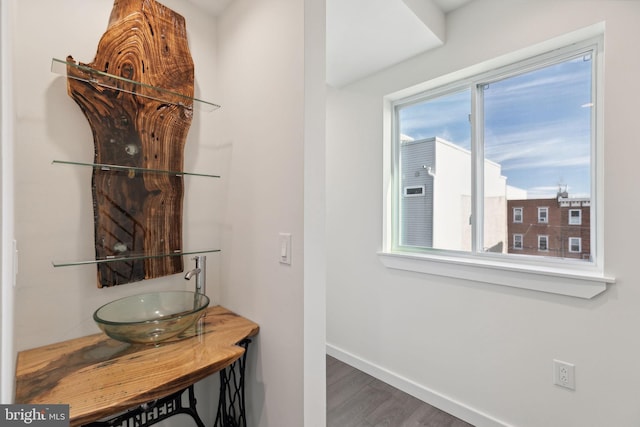 bathroom featuring wood-type flooring and sink