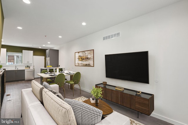 living room featuring hardwood / wood-style floors and sink