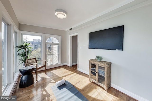 sitting room featuring hardwood / wood-style floors