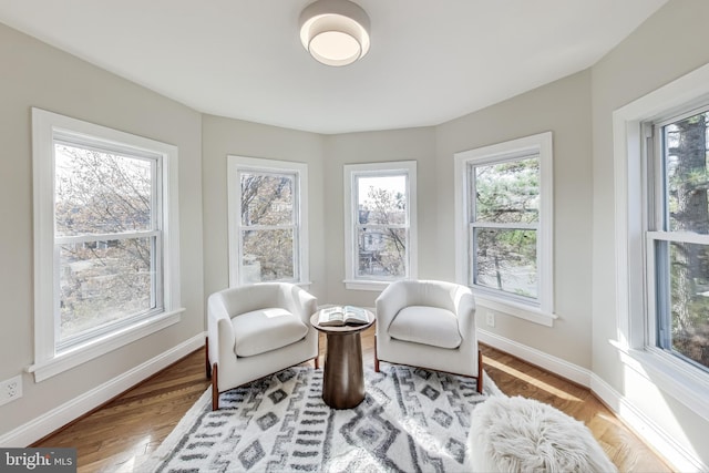 living area with a healthy amount of sunlight and light hardwood / wood-style flooring