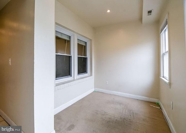 interior space featuring light carpet and a healthy amount of sunlight