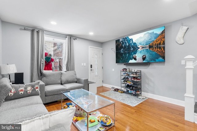 living room featuring wood-type flooring