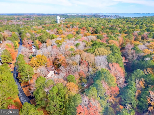 bird's eye view