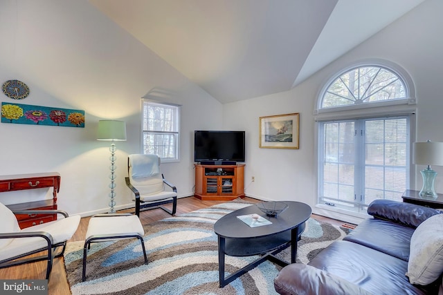 living room featuring a wealth of natural light, light hardwood / wood-style flooring, and high vaulted ceiling