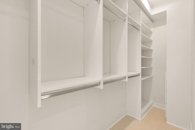 walk in closet featuring wood-type flooring