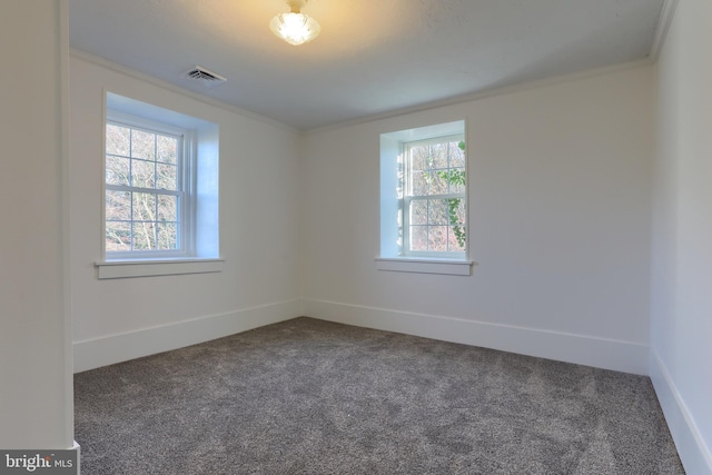 empty room with carpet, crown molding, and a healthy amount of sunlight