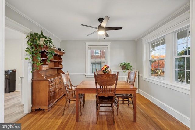 dining room with ceiling fan, ornamental molding, and light wood-type flooring