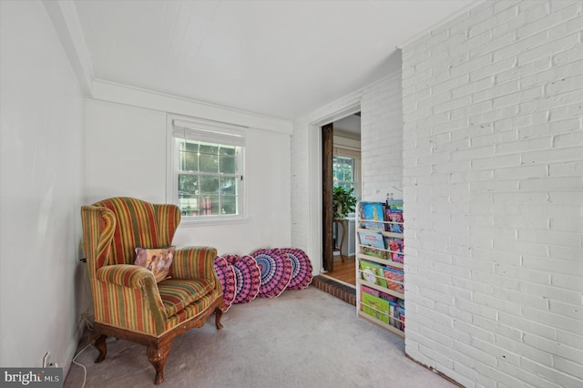 sitting room with carpet