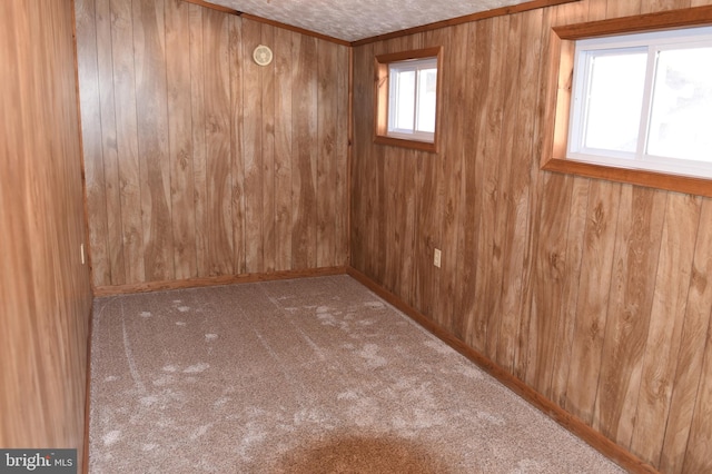 carpeted empty room with wooden walls