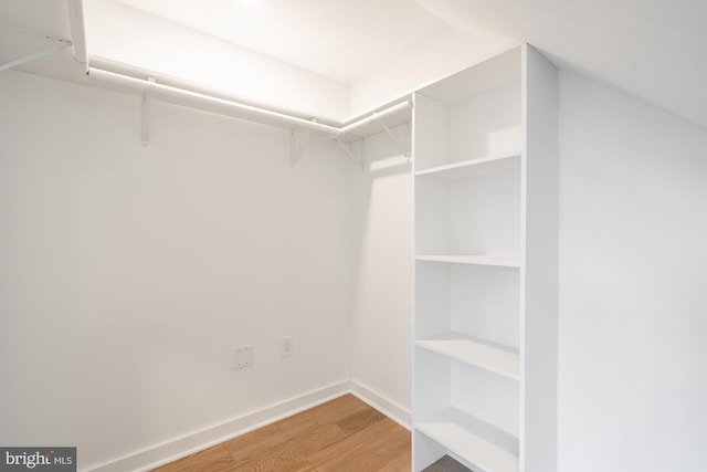 walk in closet with hardwood / wood-style flooring