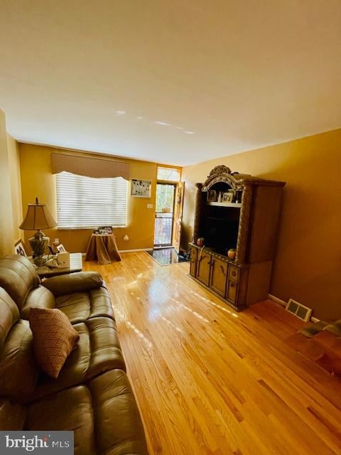 living room with light wood-type flooring