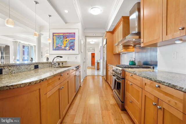 kitchen featuring light stone countertops, sink, wall chimney range hood, light hardwood / wood-style floors, and appliances with stainless steel finishes