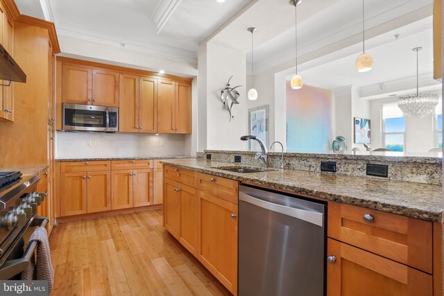 kitchen with pendant lighting, stone counters, sink, light wood-type flooring, and stainless steel appliances