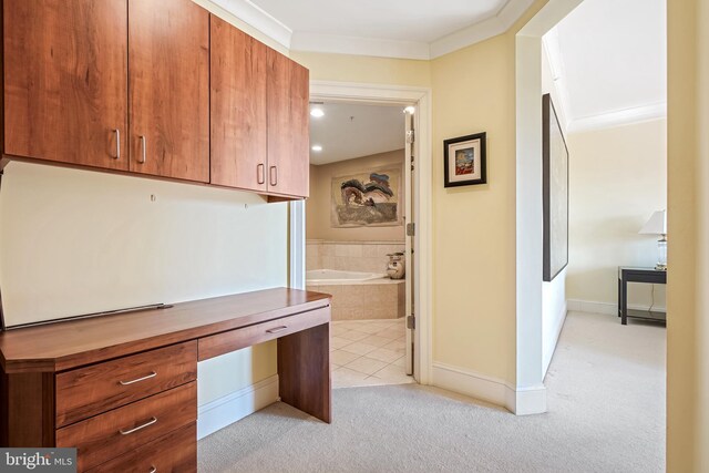 interior space with light colored carpet and ornamental molding