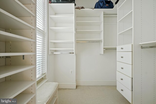 spacious closet featuring light carpet