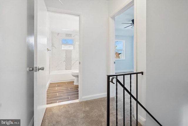 corridor featuring carpet floors and plenty of natural light