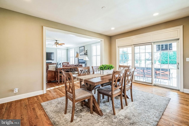 dining area with ceiling fan and wood-type flooring